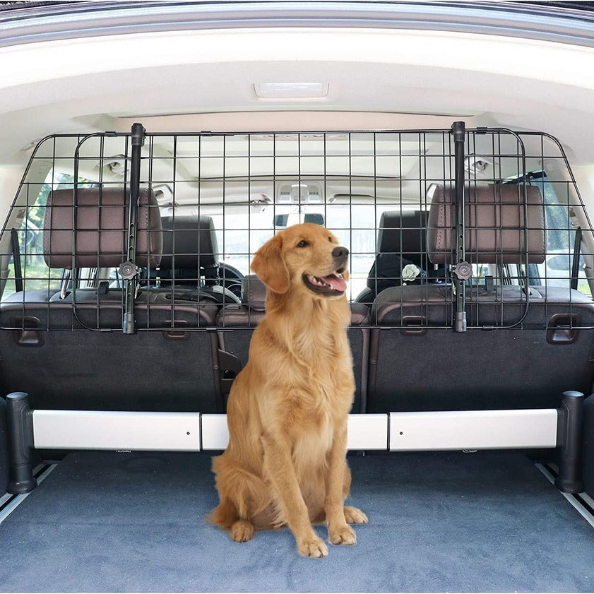 Happy Journeys Start with Pet Safety