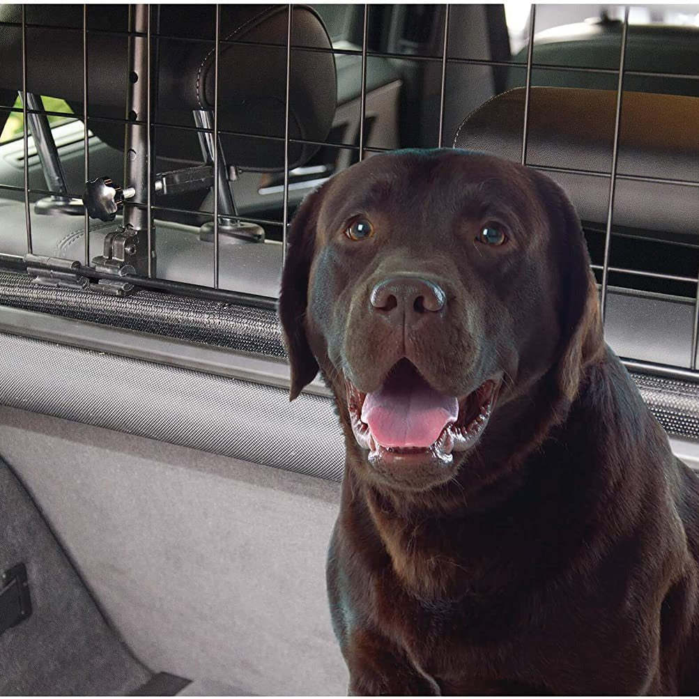 Happy Journeys Start with Pet Safety